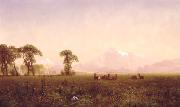 Albert Bierstadt Elk Grazing in the Wind River Country Spain oil painting artist